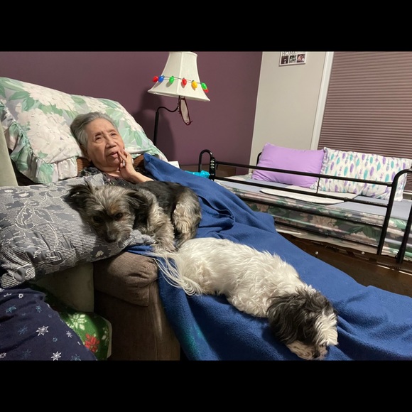 Meet your Posher, Maria - Picture 12 of 16